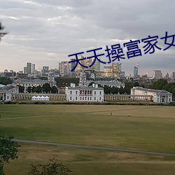 天天操富家女