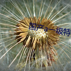 &#x7F57;&#20029;&#x661F;&#20811;&#x51EF;&#33713;&#x5C14;&#31532;&#x4E00;&#22827;&#x4EBA;&#35270;&#x9891;app&#x8F6F;&#20214; - &#35270;&#x9891;app&#x8F6F;&#20214;