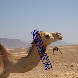 美圖社官網
