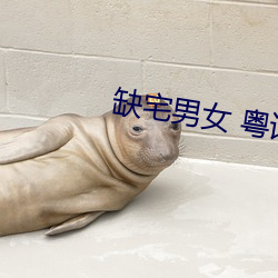 缺宅男女 粤语