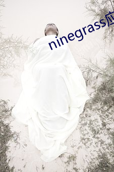 ninegrass應用