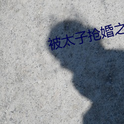 被太子抢(搶)婚之(之)后