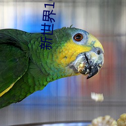 新(新)世界(界)1620