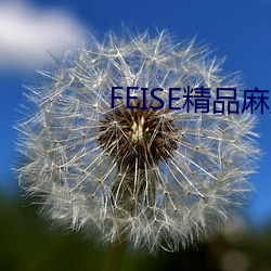 FEISE精品(品)麻豆一区二区