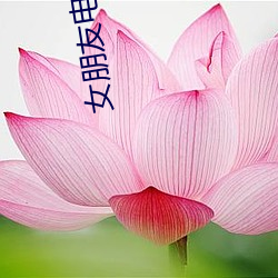 女朋友電影