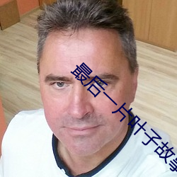 最(最)后(後)一片(片)叶子故(故)事情节梳理