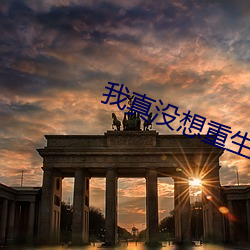 我真沒想重生啊
