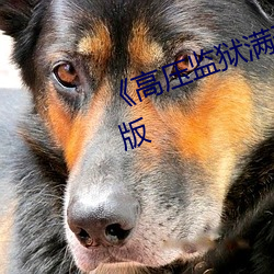 《高压监狱满天星电影》电影完整版