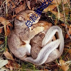 總裁爹地寵上天