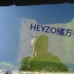 HEYZOwǧ()()D(D)