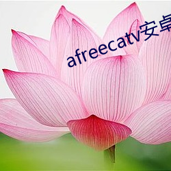 afreecatv安卓版下载