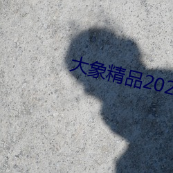 Ʒ2021