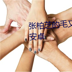 张柏芝的(de)毛又多又(yòu)密(mì)手扒v4.3.0 安卓(zhuó)