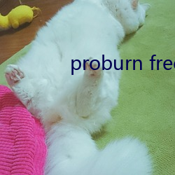 proburn free