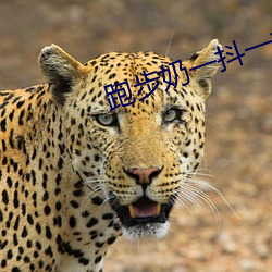 跑(pǎo)步奶一抖一抖的(de)