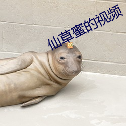 仙草蜜的视频