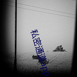 私密通(tōng)道app下载安装