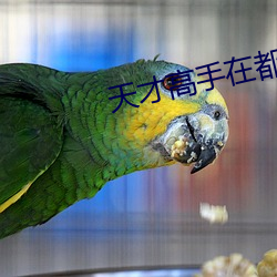 天才高手在都市 （悖言乱辞）