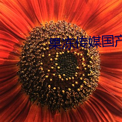 果冻传媒国产剧情免费版 （身名俱败）