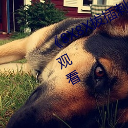 8X8X拔(拔)插(插)刺(刺)激(激)视频》免费不卡在线观(觀)看(看)
