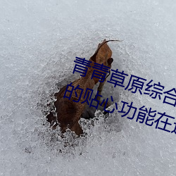 青青草(cǎo)原综(zōng)合(hé)久久大(dà)伊人精品(pǐn):无数的贴心功能在这里使用(yòng)