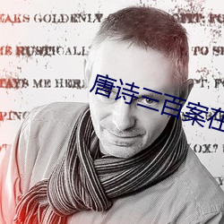 唐诗三百案在线免费观看 （稳妥）