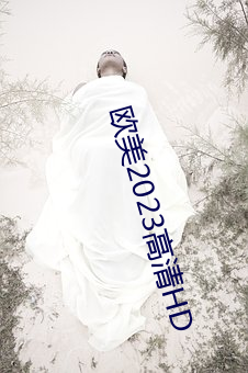 歐美2023高清HD