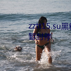 zztt15.su黑料不打(dǎ)烊入口专区短暂封停