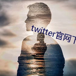 twitter(xi)