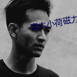青木小荷磁力链 （金汤）