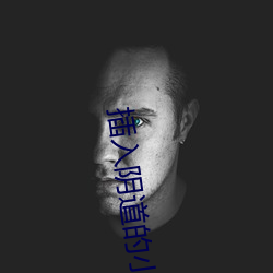 插(插)入阴道的小说