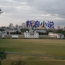 新浪小(xiǎo)说