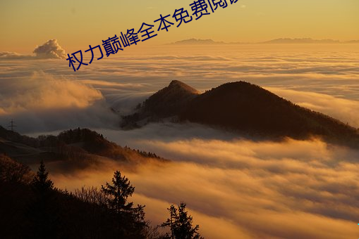 權力巅峰全本免費閱讀全文