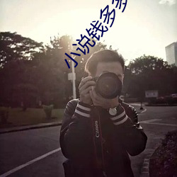小说钱多多嫁人记