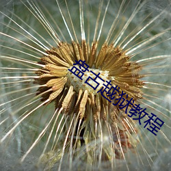 盘古越狱教程