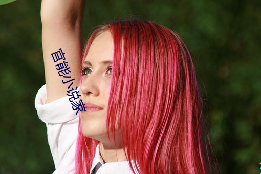 官能小說家
