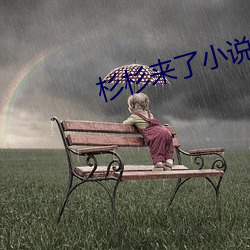 杉杉来了小说