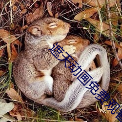 遮天动画免费(費)观看完整版(版)