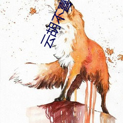云(雲)胡不喜 尼卡
