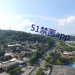 51禁画(畫)app