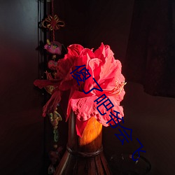 傻了(le)吧爷会(huì)飞