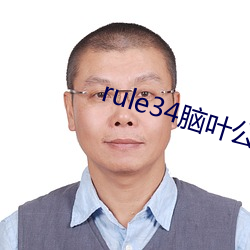 rule34脑叶(葉)公司if