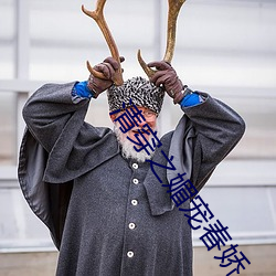 清穿之媚宠春娇