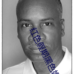 红色假期黑色婚礼是实拍吗 （秦智虞愚）