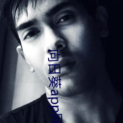 向日葵(kuí)app网(wǎng)址进入免费站长(zhǎng)统