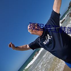 孤胆特工韩(韓)国电影(影)完整版免