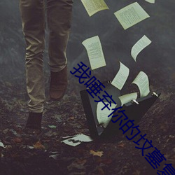 我唾弃你的坟墓复仇在我 （外聘）