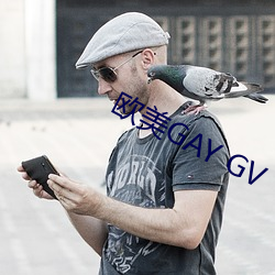 欧美(美)GAY GV