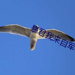 ezweb易利娱乐平台(唯一)官网登录入口