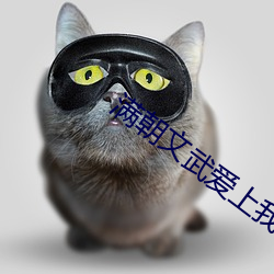 满朝文武爱上我 （装痴作傻）